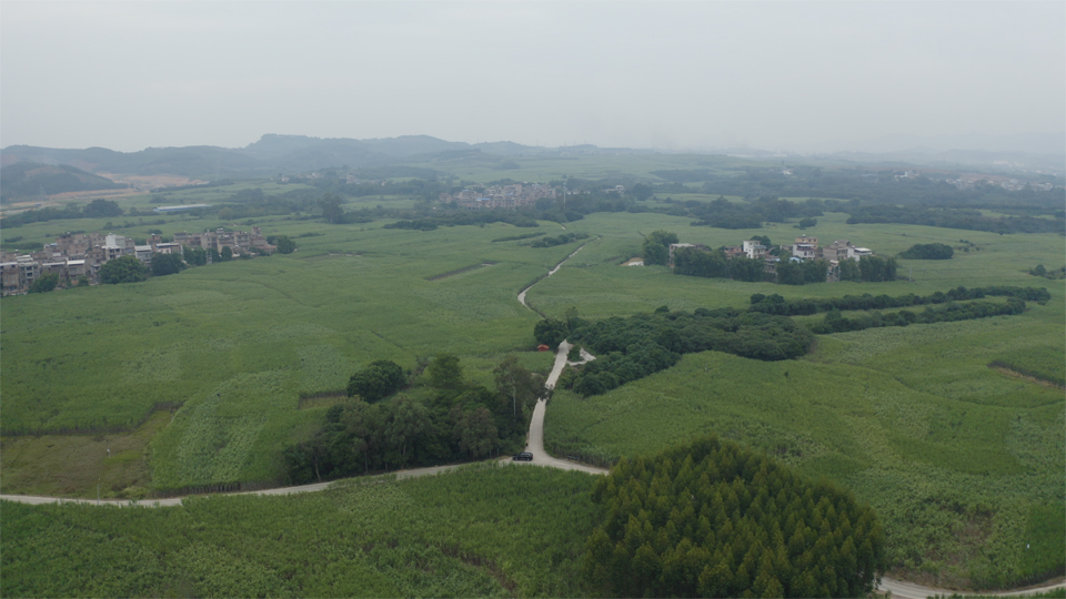 四塘鎮(zhèn)01 四塘鎮(zhèn)01