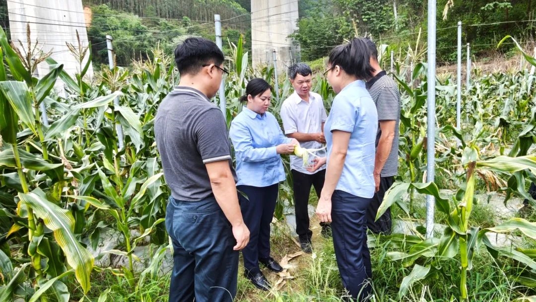 微信圖片_20250617174243 微信圖片_20250617174243